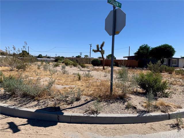 0 Cholita Rd - Photo 1