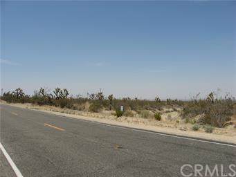 0 Vac/Fort Tejon Pav /Vic Avenue - Photo 1