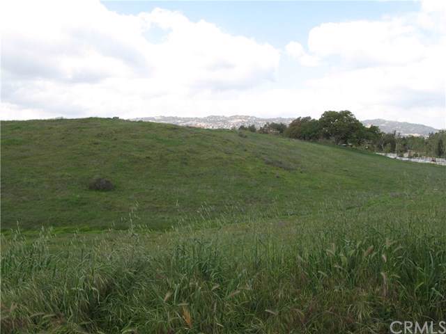 40899 Avenida La Cresta - Photo 1