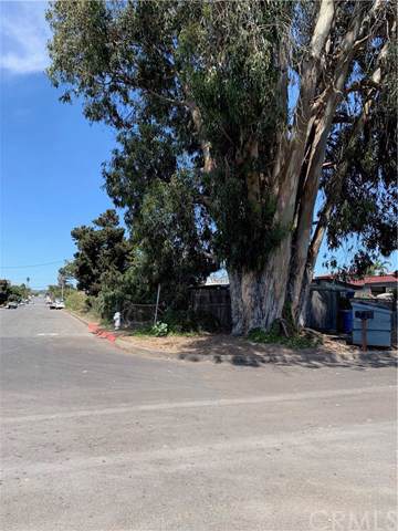 305 Longbranch - Photo 1