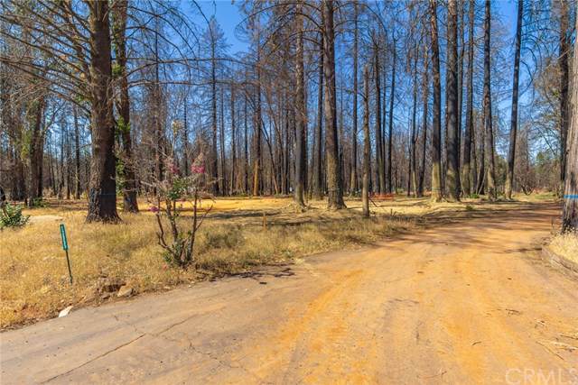 13955 Cascade - Photo 1