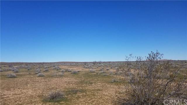 0 Desert Flower - Photo 1