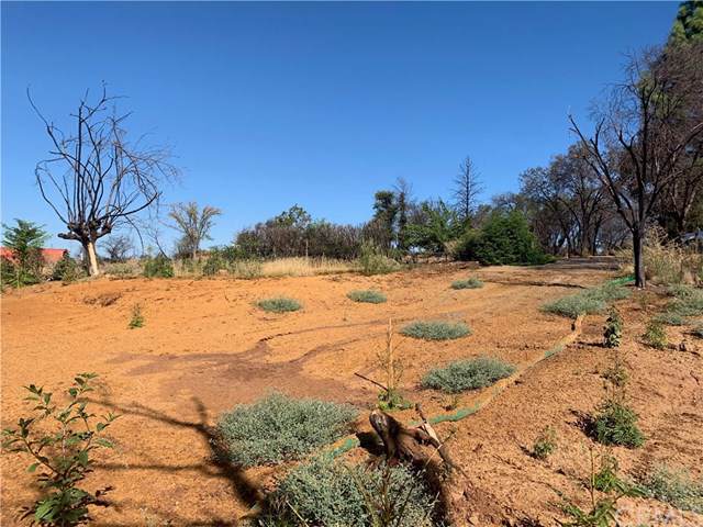 80 Grinding Rock - Photo 1