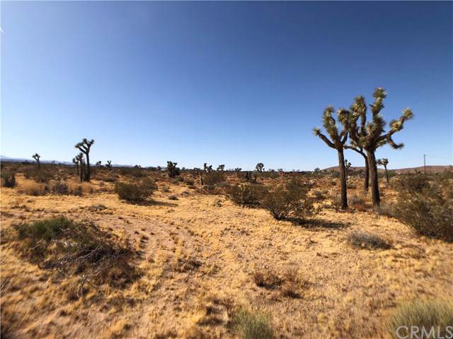 3528 Julcrest - Photo 1