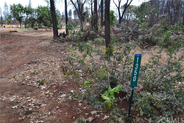 1350 Meriam - Photo 1