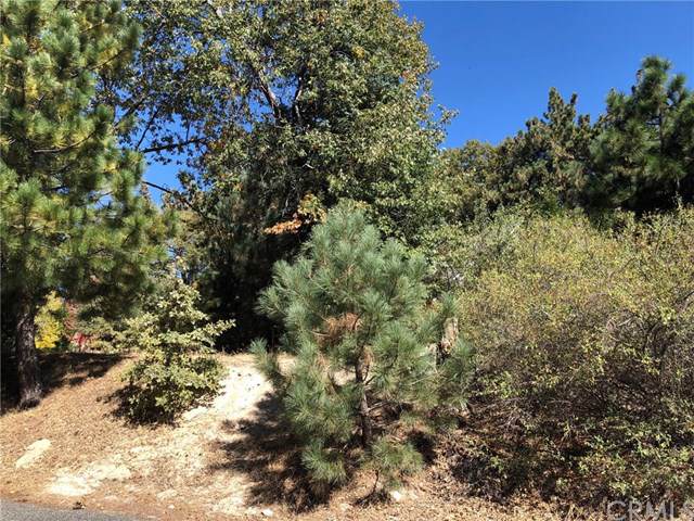 30176 Enchanted - Photo 1