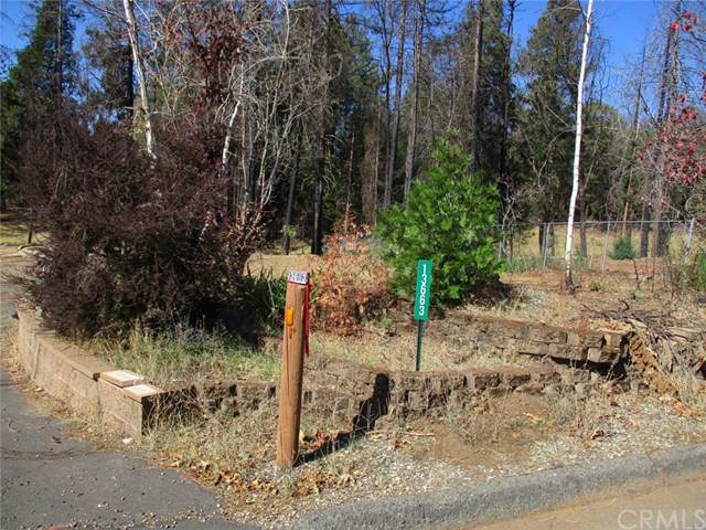13663 Andover - Photo 1