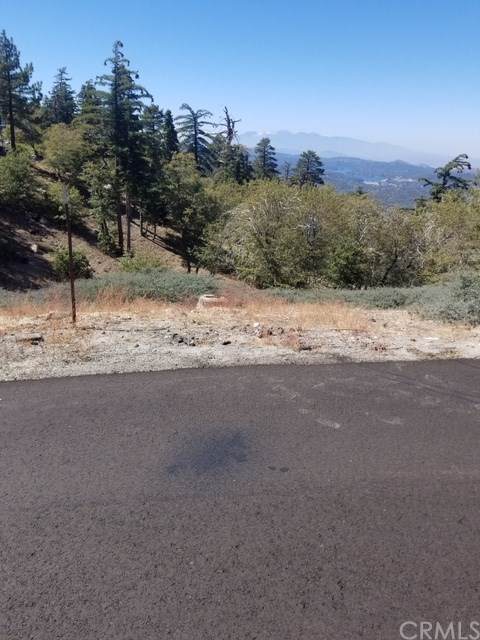 32929 Juniper - Photo 1