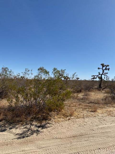 0 Soledad - Photo 1