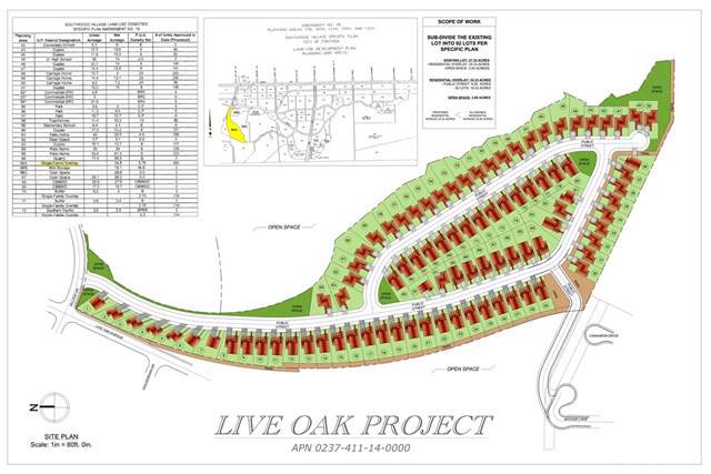 11 Live Oak - Photo 1