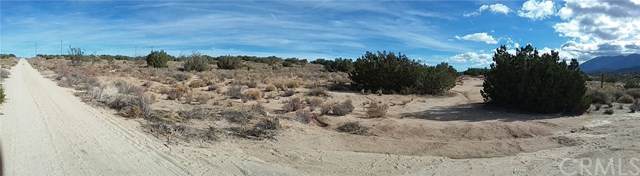 0 Fort Tejon - Photo 1