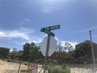 0 Pomona Rincon - Photo 1