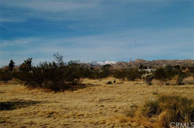 0 Yucca Mesa - Photo 1