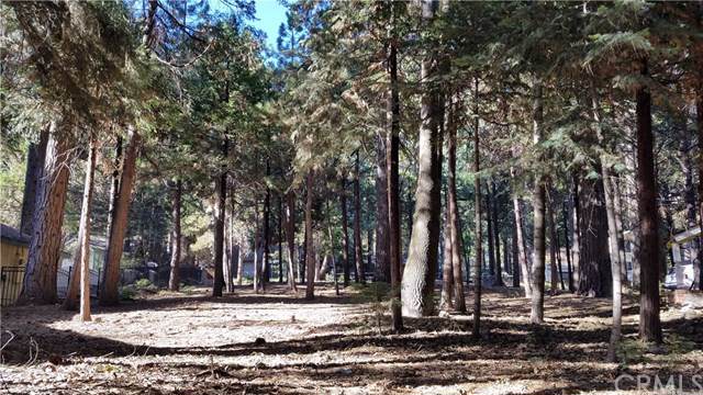 31363 Firwood - Photo 1
