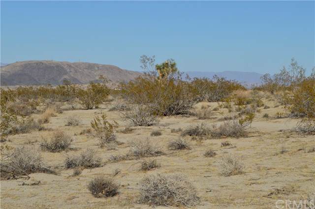 0 Palo Verde - Photo 1