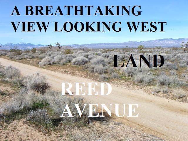 0 Reed - Photo 1
