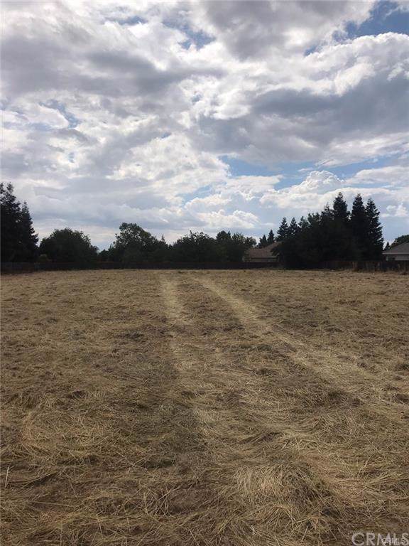 2133 Quinley - Photo 1
