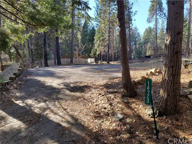 14723 Goldcone - Photo 1