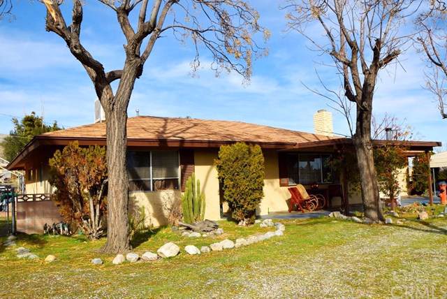 49256 Buena Vista Drive - Photo 1