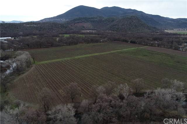 4650 Soda Bay - Photo 1