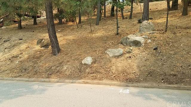 1411 Yosemite - Photo 1