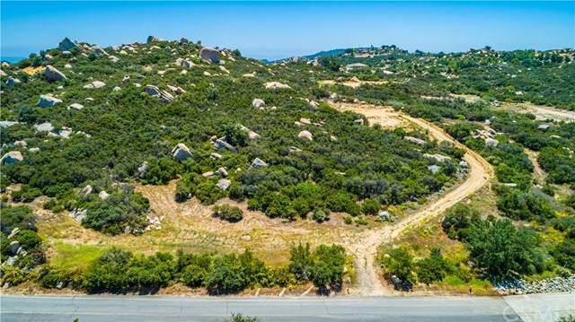 460 Calle Paramo Parcel 4 - Photo 1