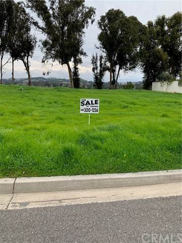 31622 Paseo Rita - Photo 1