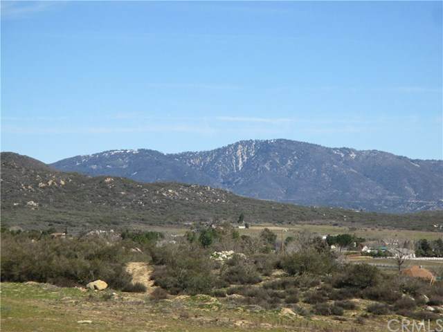 0 Roan - Photo 1