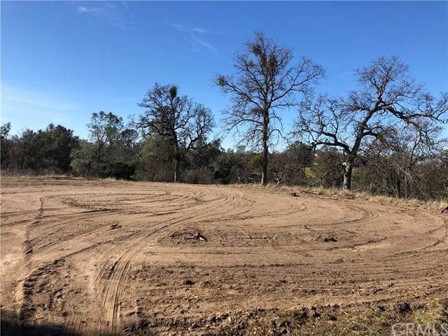 690 Yosemite Springs - Photo 1