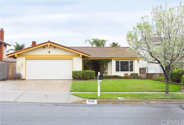 7045 Palm Drive - Photo 1 7045 Palm Drive - Photo 1