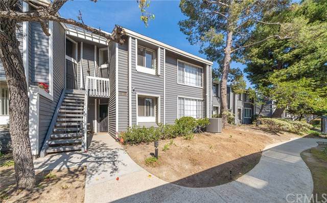 25271 Pine Creek Lane - Photo 1