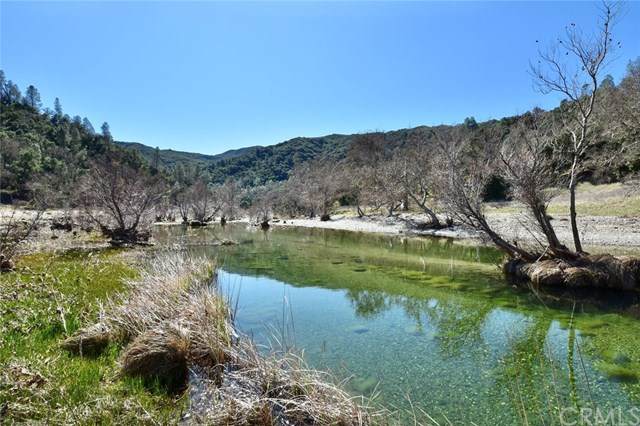 76206 Deer Pass - Photo 1