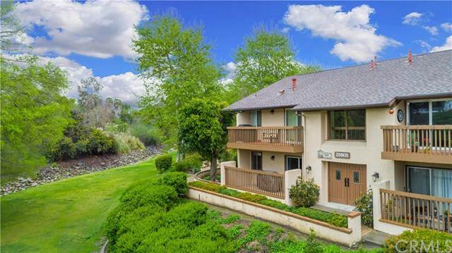 25805 Marguerite - Photo 1