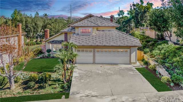 28832 Avenida Del Caballo - Photo 1 28832 Avenida Del Caballo - Photo 1
