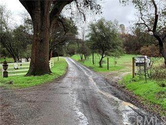 0 Dry Creek - Photo 1