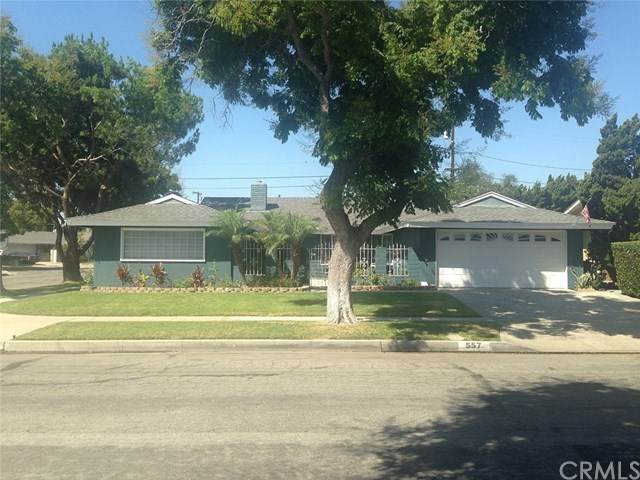 557 Chantilly Street - Photo 1