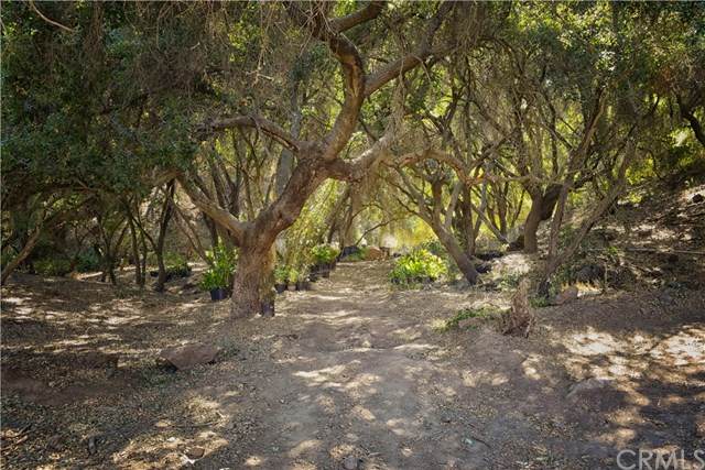 45920 Calle Roca - Photo 1