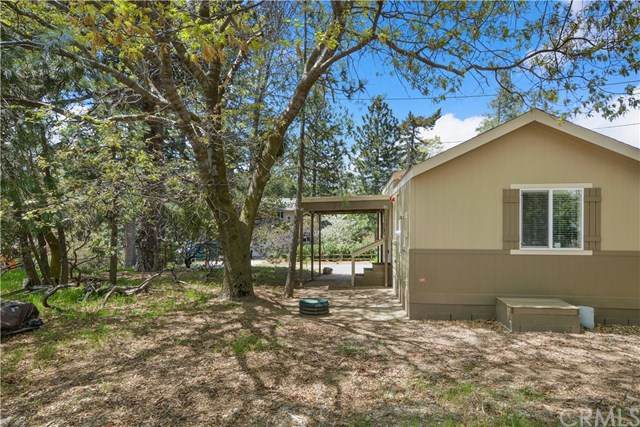 22315 Mojave River Road - Photo 1