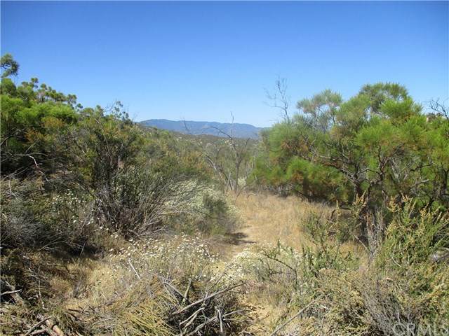 1004 Roan - Photo 1