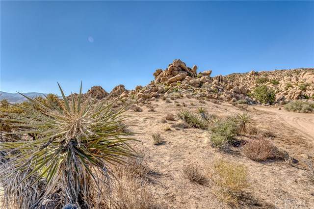 55290 Skyline Ranch - Photo 1