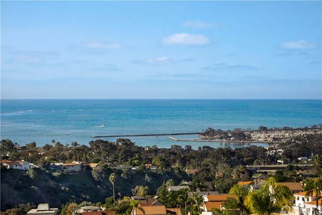 33781 Glocamora Lane - Photo 1