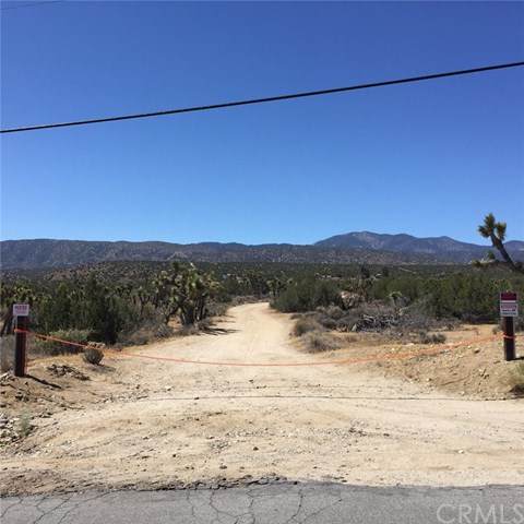 0 Vac/Fort Tejon Drt /Vic 208 St - Photo 1