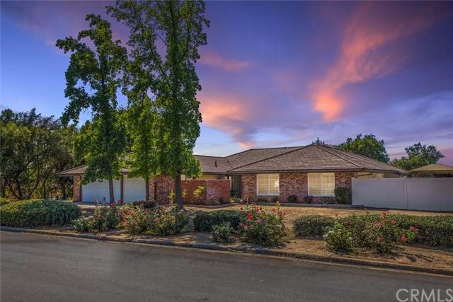 39409 Cherry Oak Road - Photo 1