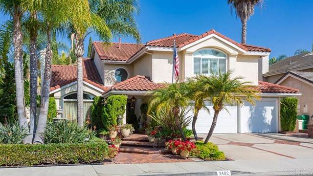 3492 Sitio Borde - Photo 1