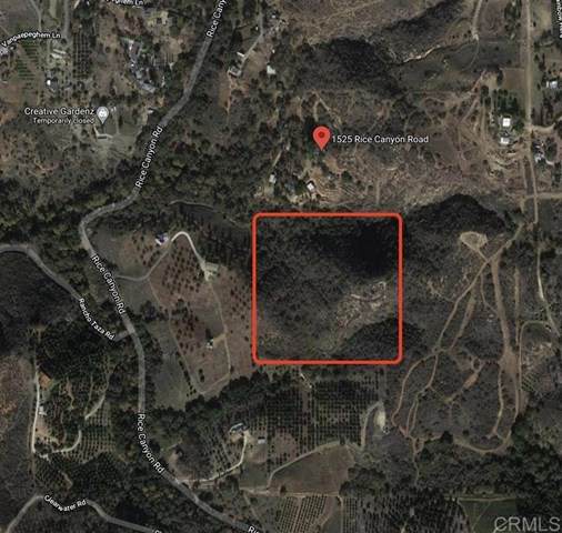 0 Rice Canyon Rd - Photo 1