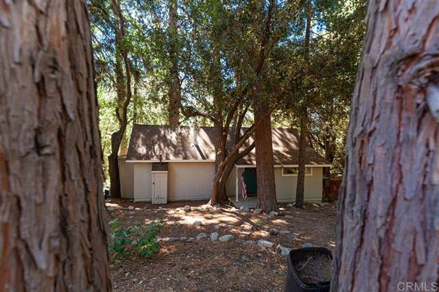5965 Robin Oak Drive - Photo 1