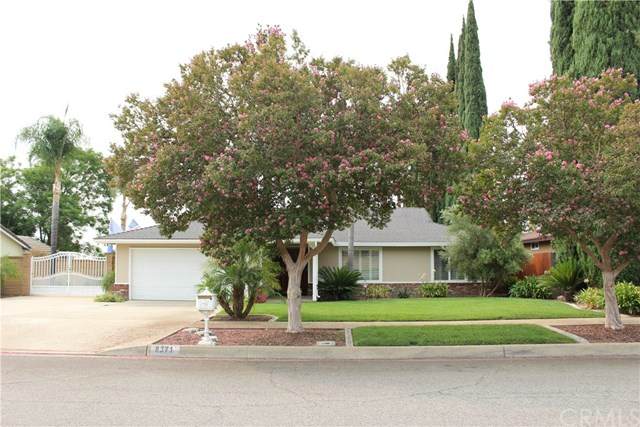 8371 Pumalo Street - Photo 1