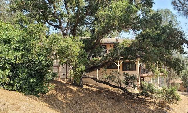 2874 Saddle Way - Photo 1