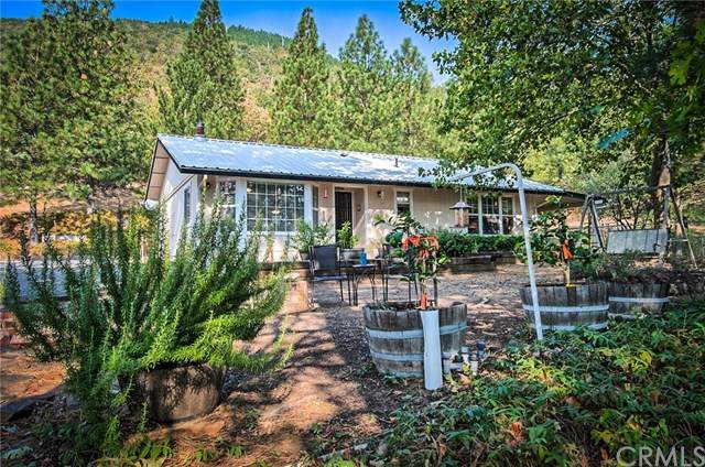 29575 Snuffy Lane - Photo 1