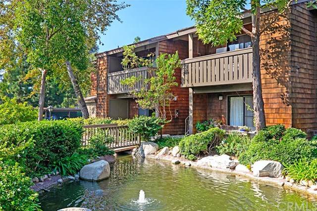 33852 Del Obispo Street - Photo 1